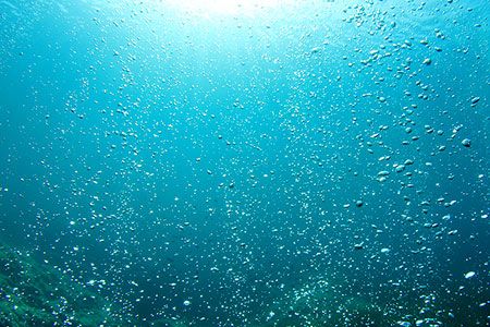 Proxxima technology to deploy in Guyana Longtail development