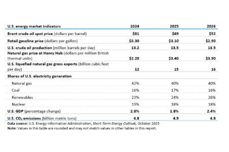 EIA adjusts forecast for US oil production as producers set a record in July 2025