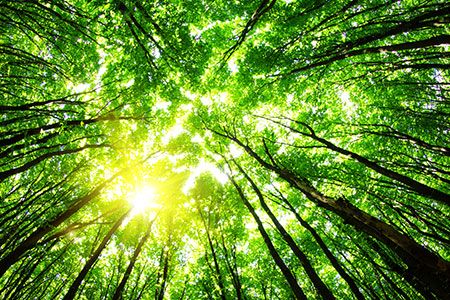 DNV validates Carbon8’s carbon capture and utilisation methodology