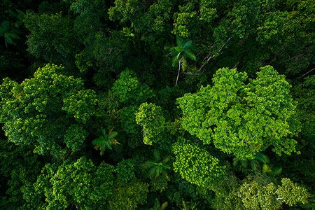 Wood Mackenzie: Five key takeaways from COP30